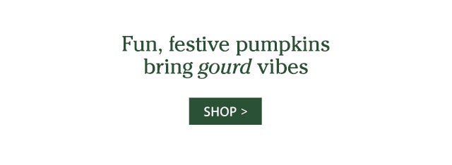 Fun, festive pumpkins bring gourd vibes SHOP>