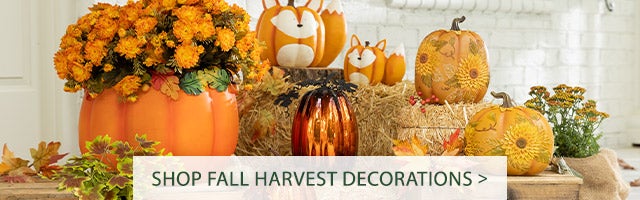 Shop Fall Harvest Decorations >
            