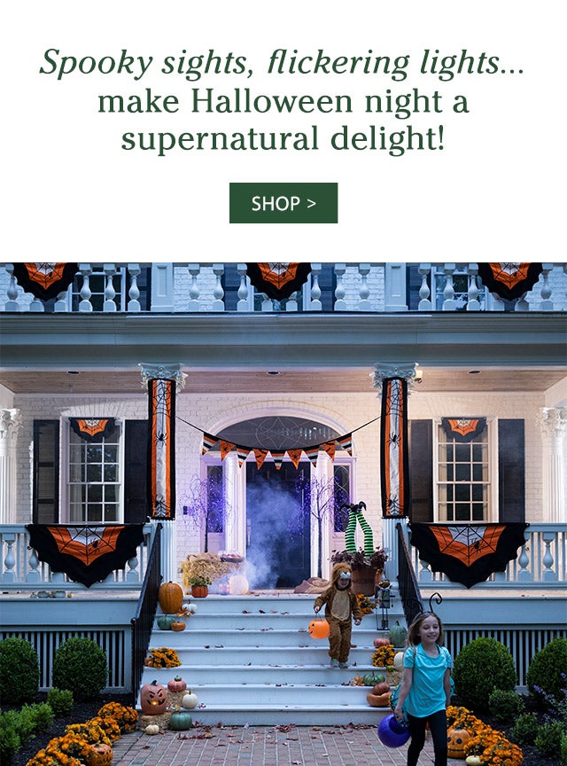 Spooky sights, flickering lights…make Halloween night a supernatural delight! SHOP>