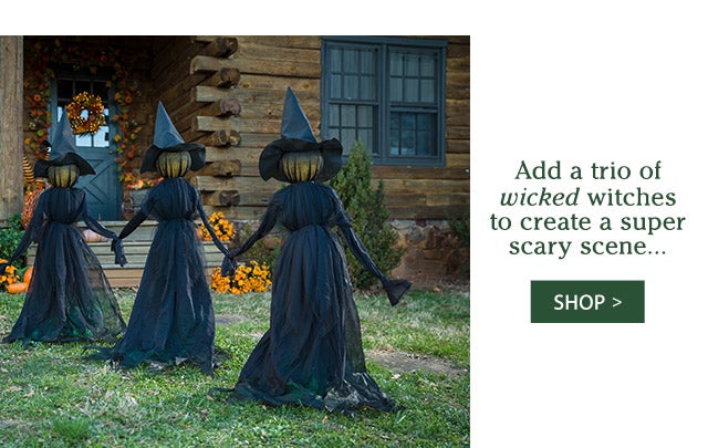 Add a trio of wicked witches to create a super scary scene… SHOP>