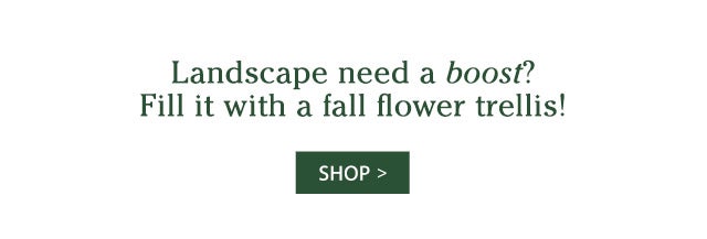 Landscape need a boost? Fill it with a fall flower trellis! SHOP>