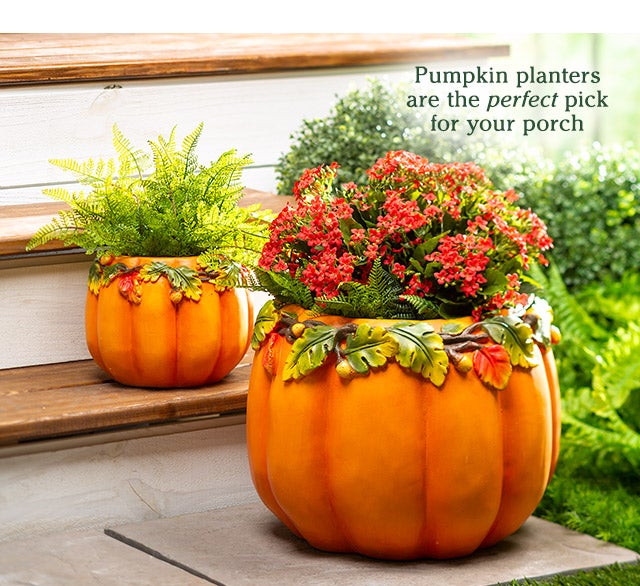 Pumpkin planters are the perfect pick for your porch SHOP>