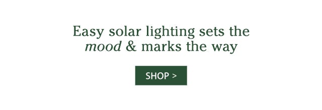 Easy solar lighting sets the mood & marks the way