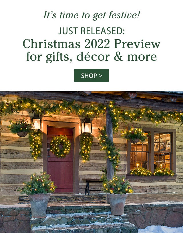 It’s time to get festive!  Just released: Christmas 2022 Preview for gifts, décor & more SHOP>