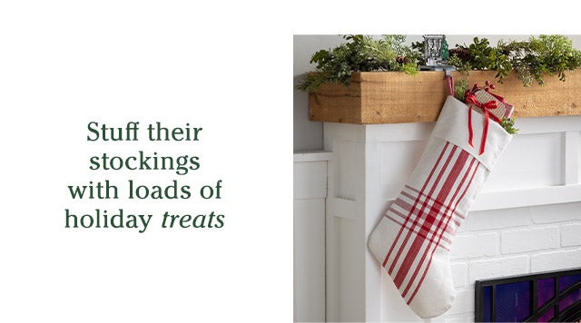 Stuff their stockings with loads of holiday treats SHOP>