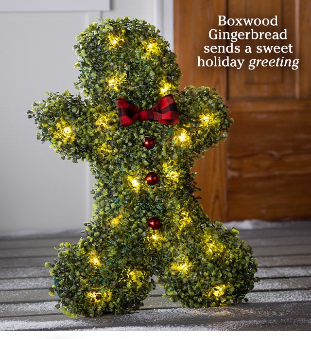 Boxwood Gingerbread sends a sweet holiday greeting