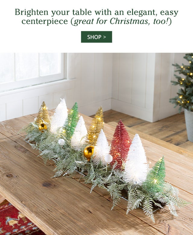 Brighten your table with an elegant, easy centerpiece (great for Christmas, too!)