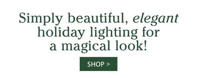 Simply beautiful, elegant holiday lighting for a magical look!  SHOP>