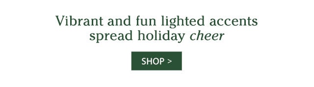 Vibrant and fun lighted accents spread holiday cheer