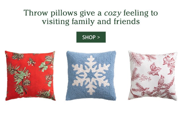 Throw pillows give a cozy feeling to visiting family and friends