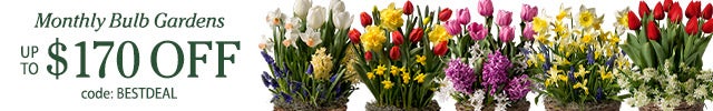 Monthly Bulb Gardens up to $170 off w/code BESTDEAL 