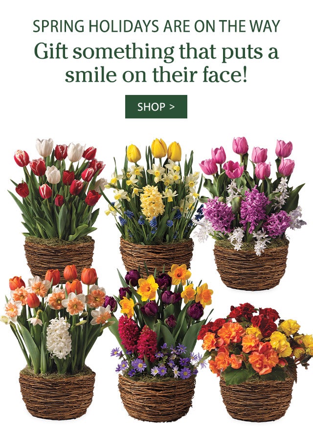 Spring holidays are on the way. Gift something that puts a smile on their face! 