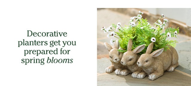 Decorative planters get you prepared for spring blooms