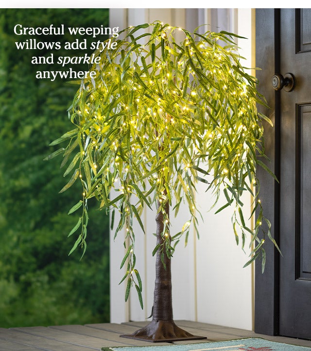 Graceful weeping willows add style and sparkle anywhere