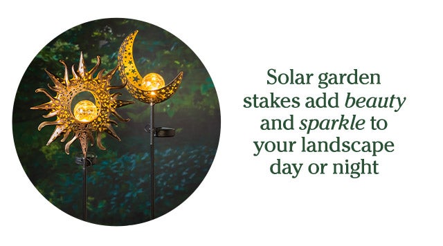 Solar garden stakes add beauty and sparkle to your landscape day or night