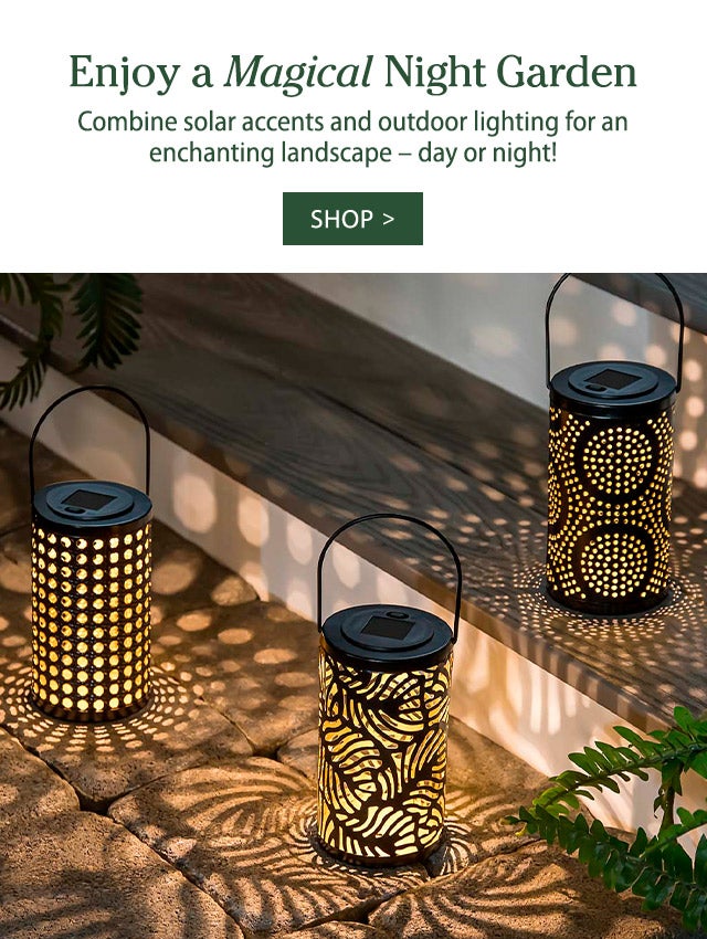 Enjoy a Magical Night Garden  Combine solar accents and outdoor lighting for an enchanting landscape – day or night!