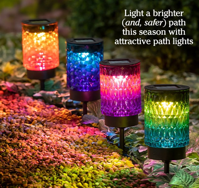 Light a brighter (and, safer) path this season with attractive path lights that also help prevent slips and trips 