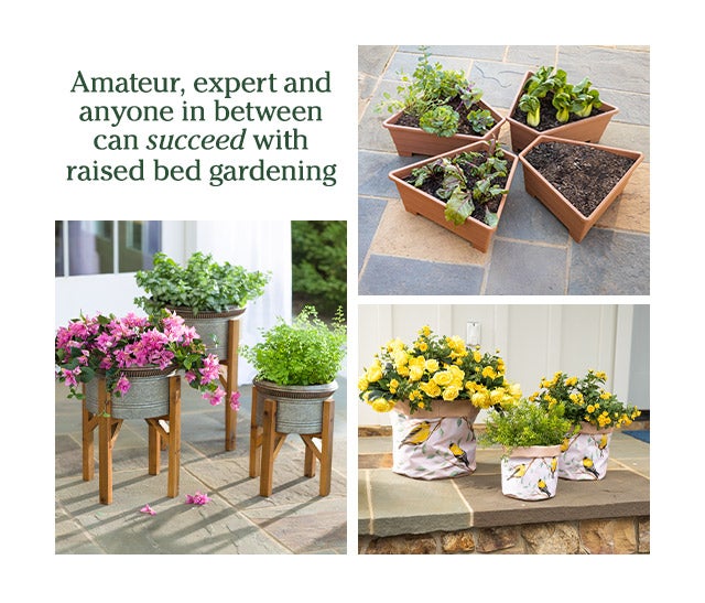 Amateur, expert and anyone in between can succeed with raised bed gardening