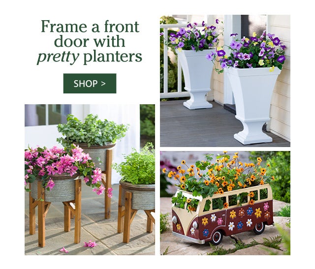 Frame a front door with pretty planters