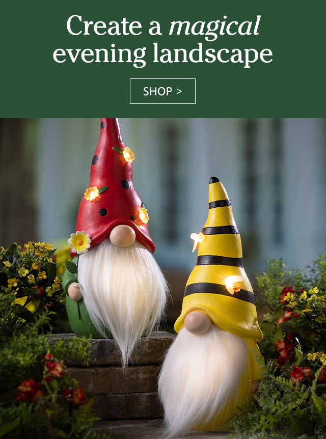 Create your own enchanting evening oasis