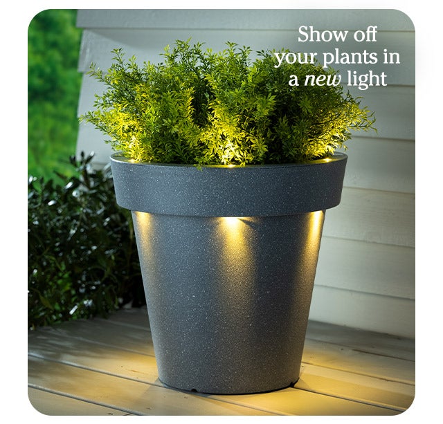 Show off your plants in a new light 