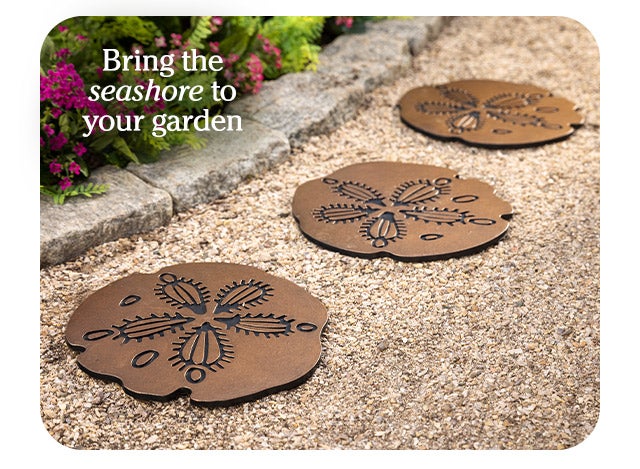 Bring the seashore to your garden