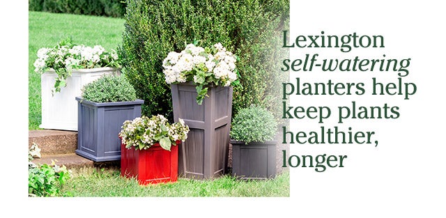 Lexington self-watering planters help keep plants healthier, longer 