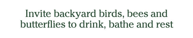 Invite backyard birds, bees and butterflies to drink, bathe and rest 