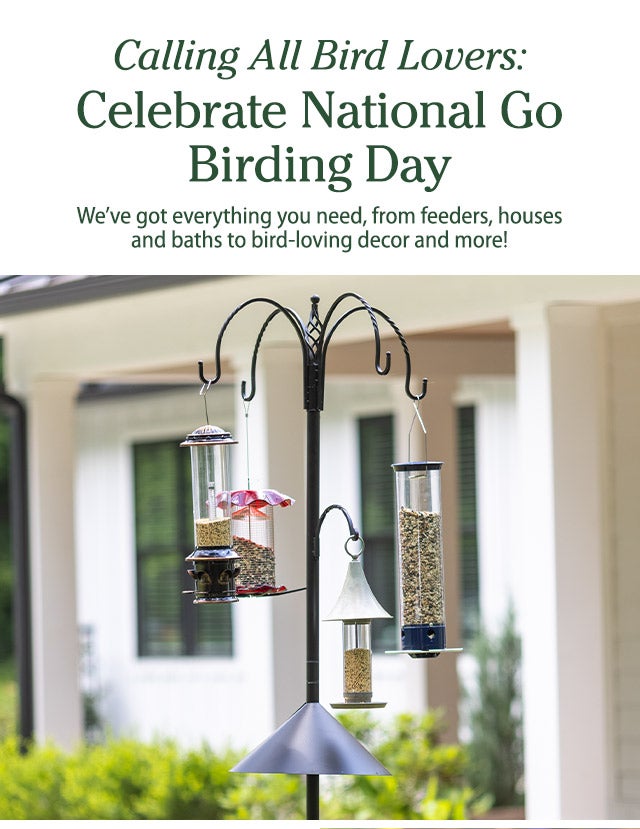 Calling All Bird Lovers: Celebrate National Go Birding Day We’ve got everything you need, from feeders, houses and baths to bird-loving decor and more!