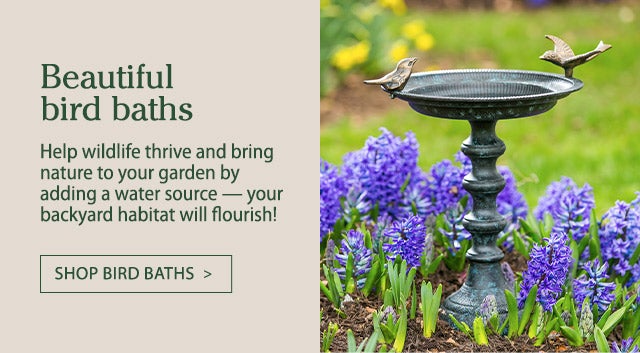 Beautiful Bird Baths Help wildlife thrive and bring nature to your garden by adding a water source — your backyard habitat will flourish!