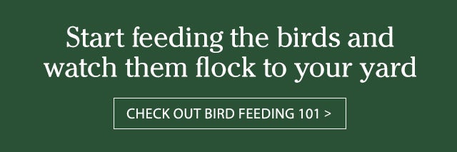 Start feeding the birds and watch them flock to your yard Learn more > Bird Feeding 101