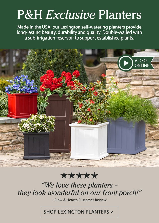 P&H Exclusive Planters Made in the USA, our Lexington self-watering planters provide long-lasting beauty, durability and quality. Double-walled with a sub-irrigation reservoir to support established plants.