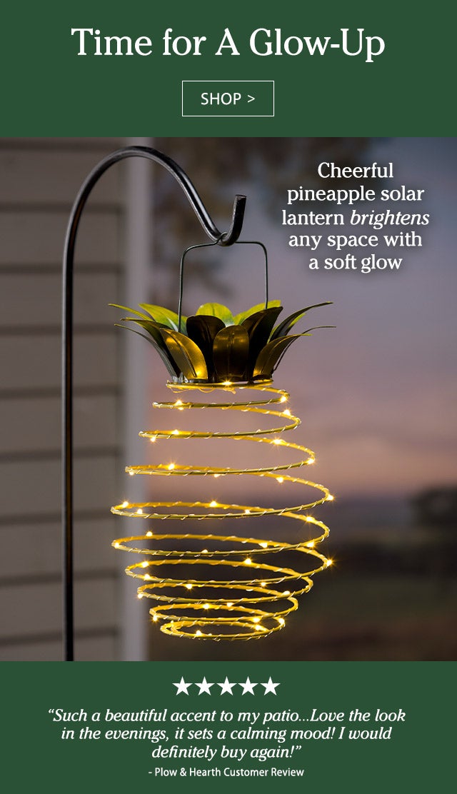 Time for A Glow-Up Cheerful pineapple solar lantern brightens any space with a soft glow