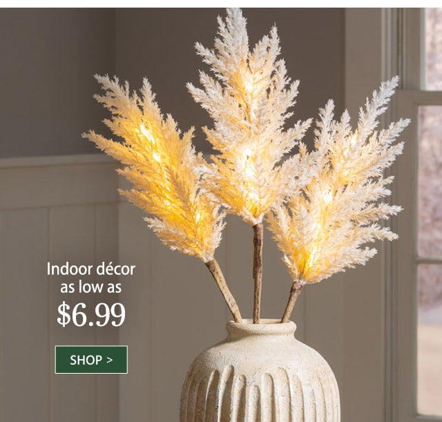 Indoor décor as low as $6.99