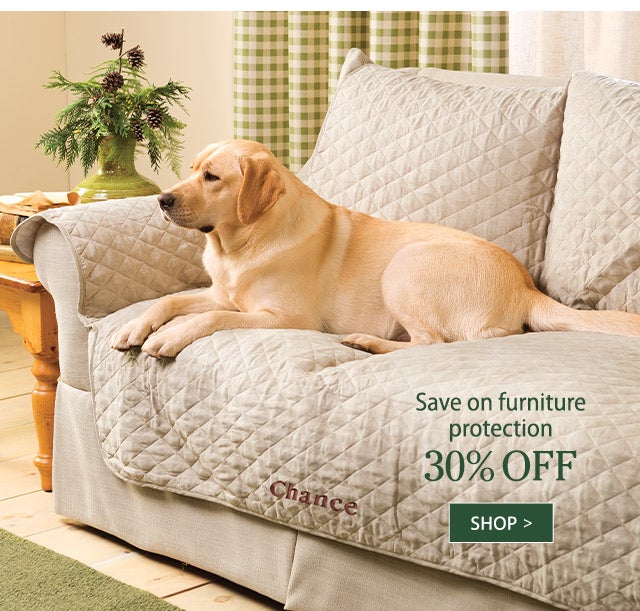 Save on furniture protection - 30% off