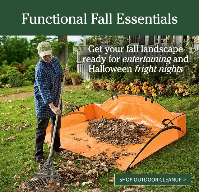 Get your fall landscape ready for entertaining and Halloween fright nights >Shop Outdoor Cleanup