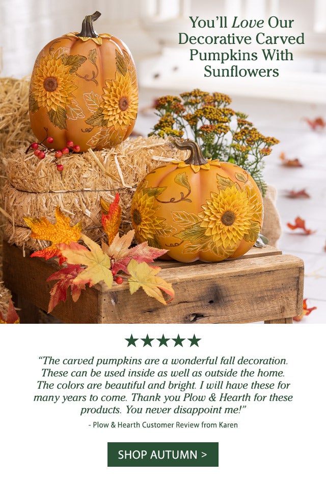 You’ll Love Our Decorative Carved Pumpkins With Sunflowers >Shop Autumn