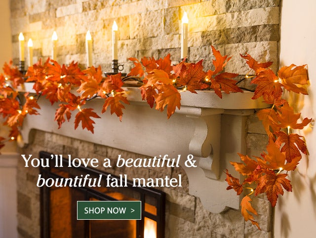 You'll love a beautiful & bountiful fall mantel Shop All Fall >