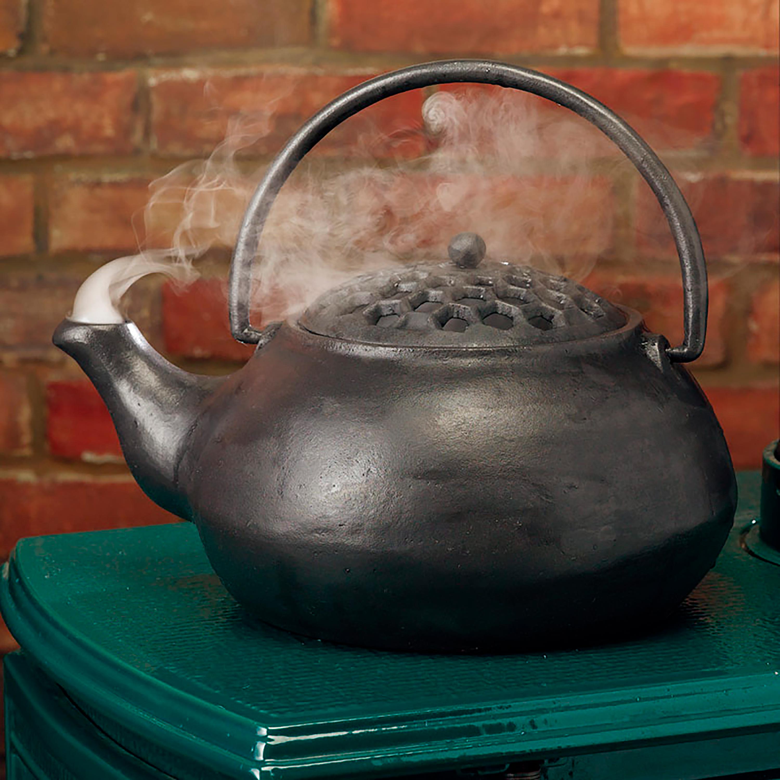 Cast Iron Wood Stove Steamer Kettle Humidifier With 3 Quart