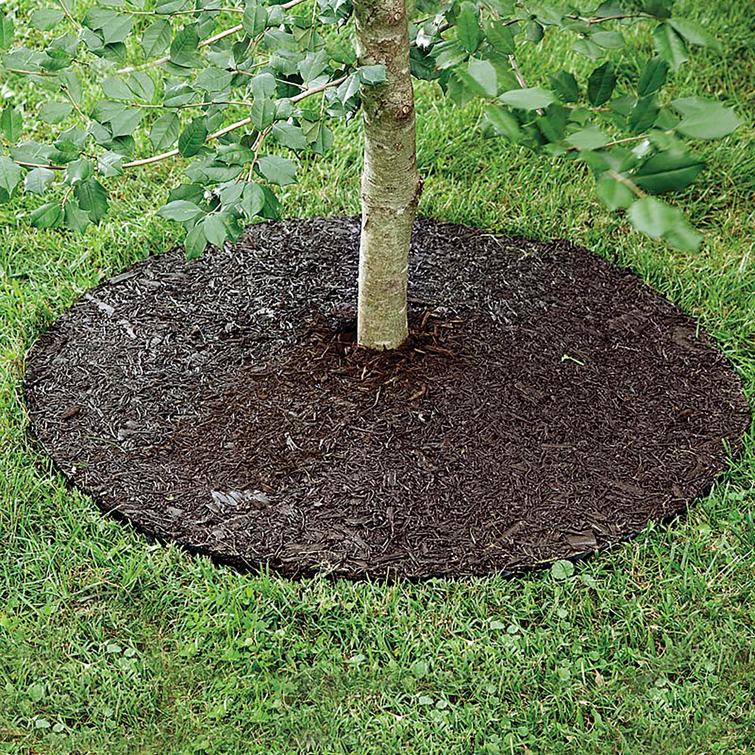 Permanent Mulch Recycled Rubber Tree Ring, 24" dia.