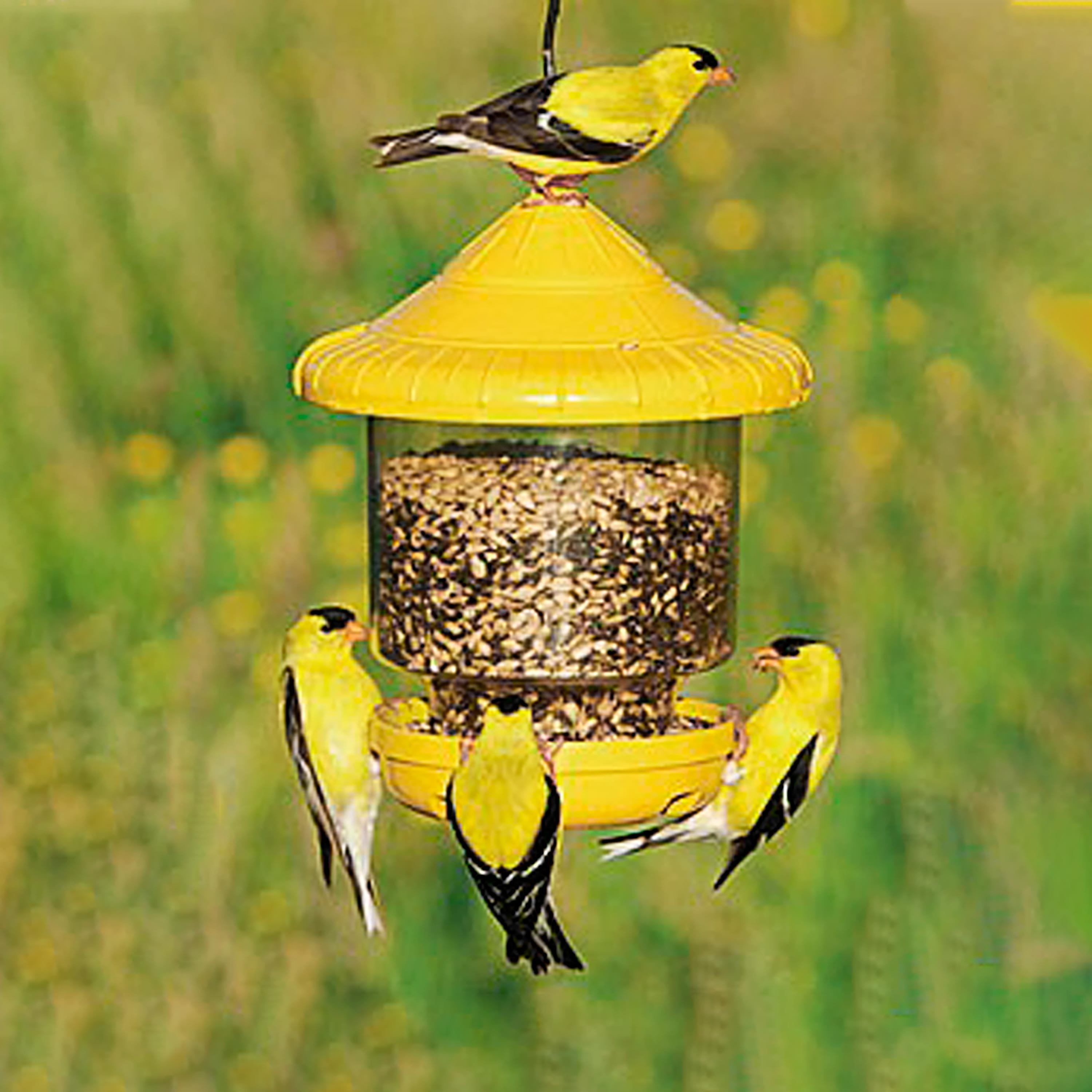 Clinger Hanging Bird Feeder (Home & Garden Decor) photo