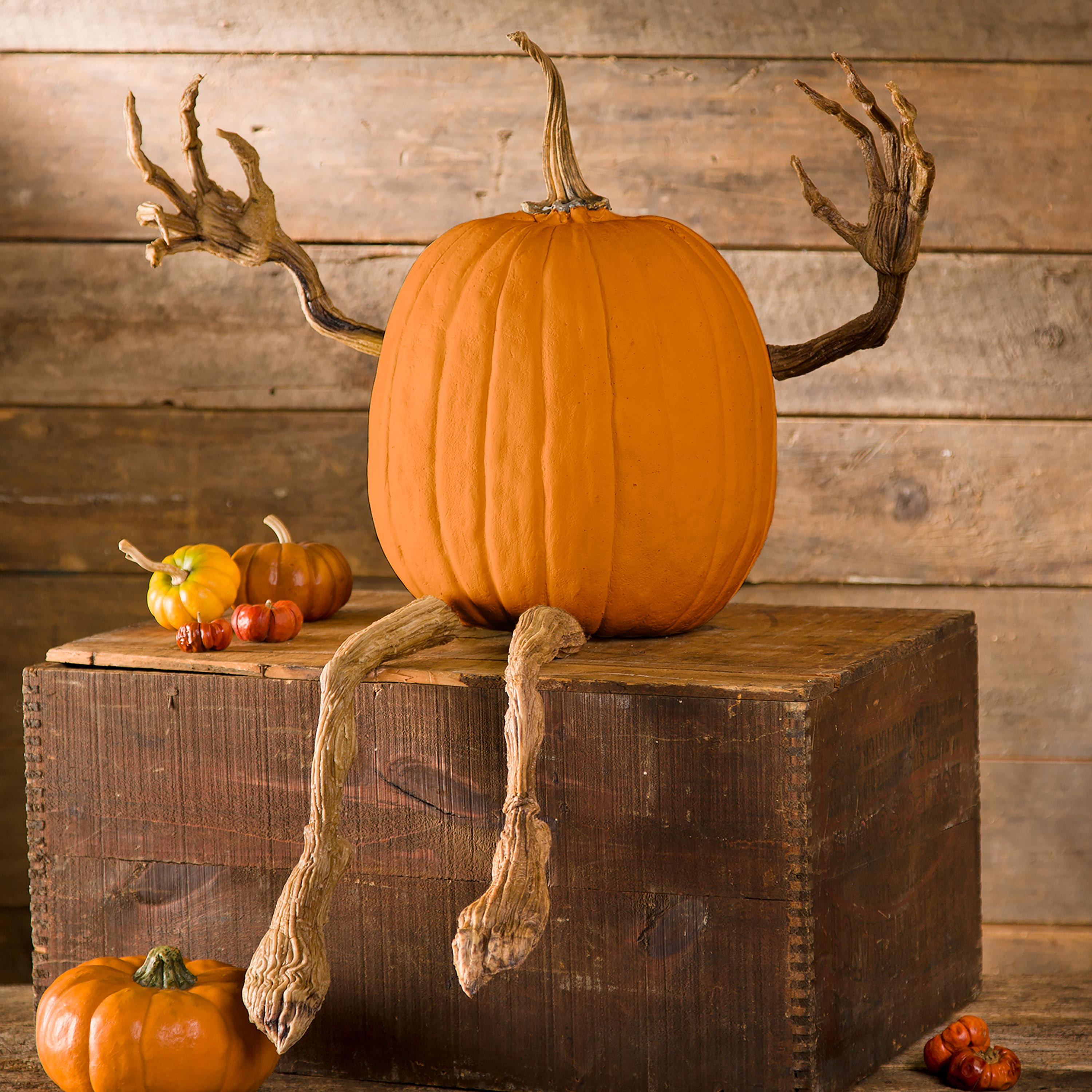 Posable Pumpkin Vine Arms and Legs Set