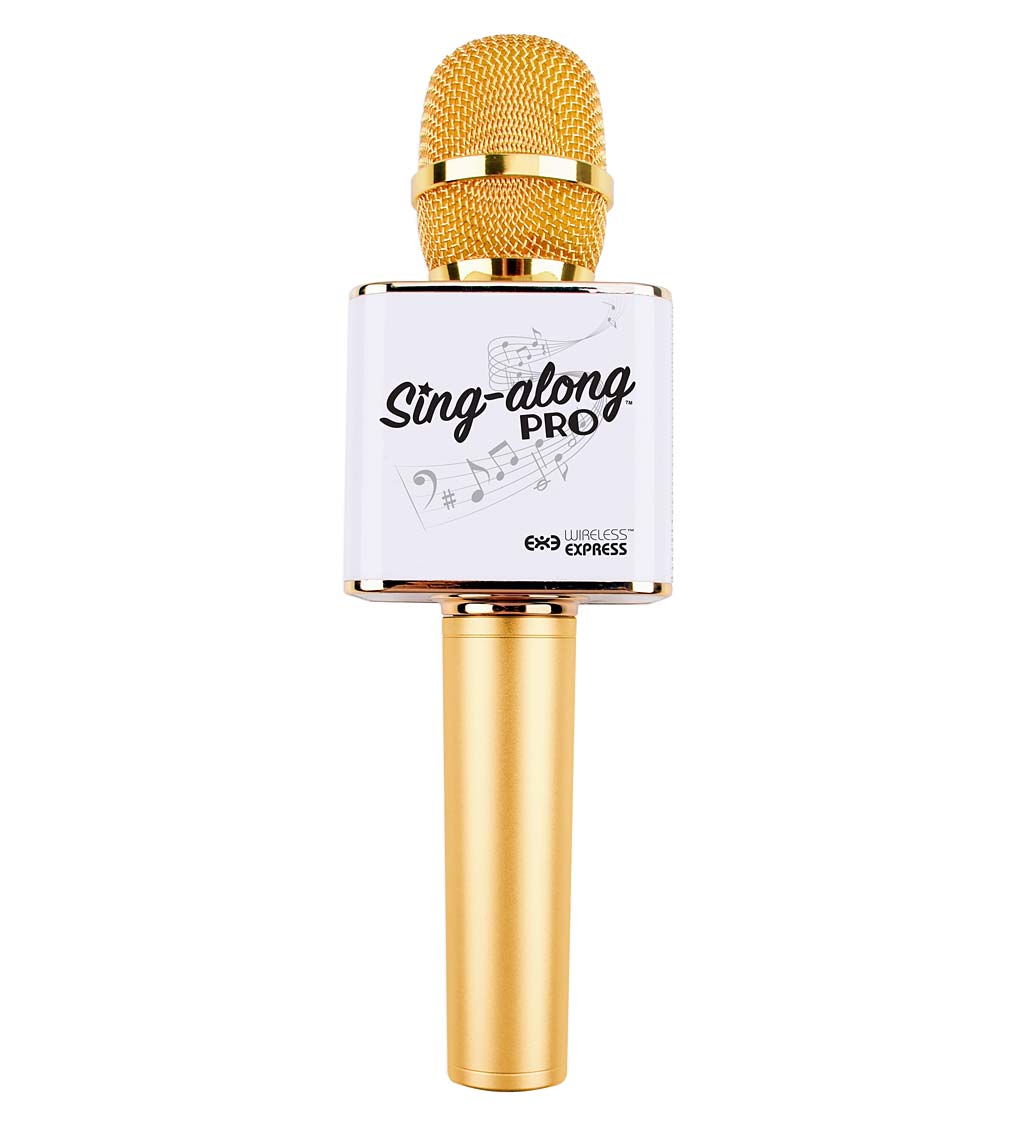 Bluetooth Karaoke Microphone