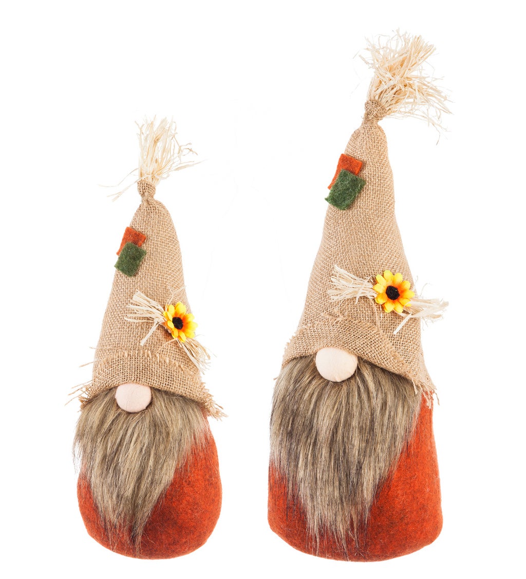 LED Plush Gnomes, Set of 2
