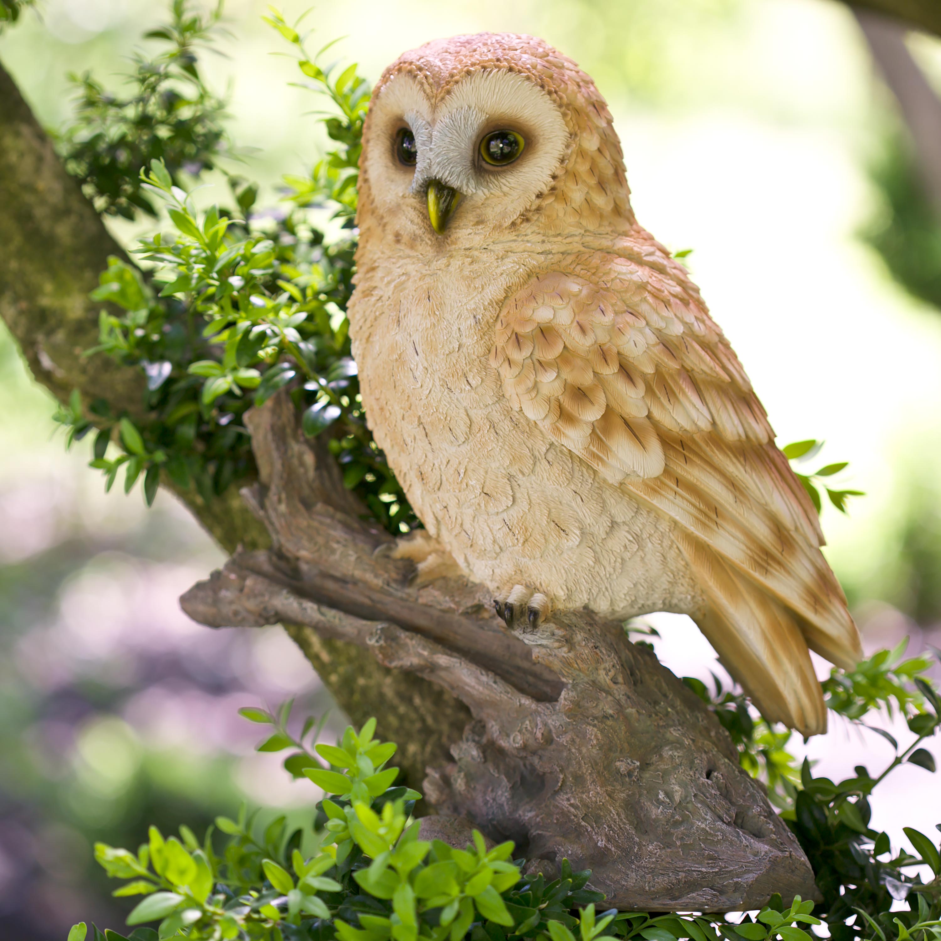 Barn Owl On Stump Sculpture 53648297707 Ebay