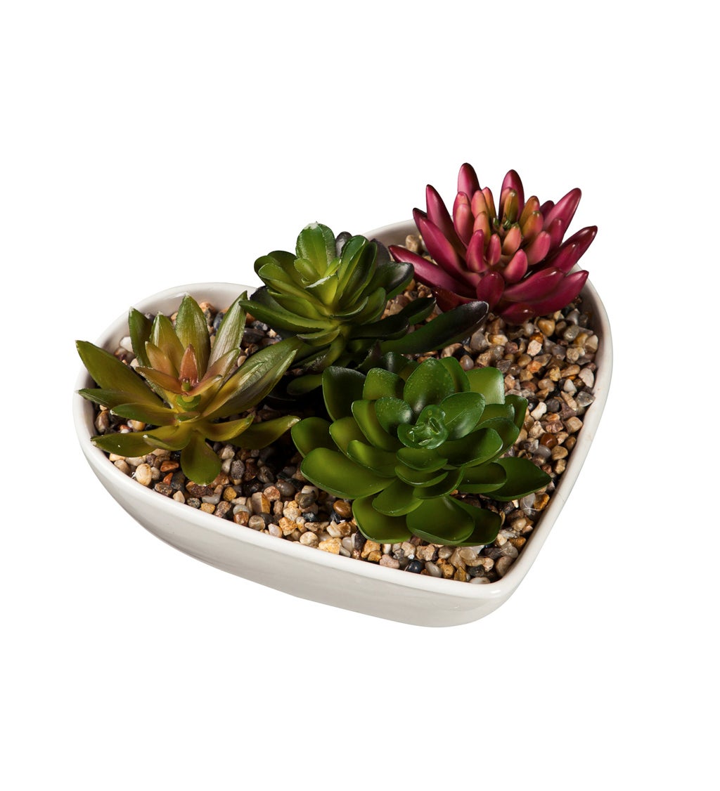Ceramic Heart Shaped Dish with Succulent Table Decor