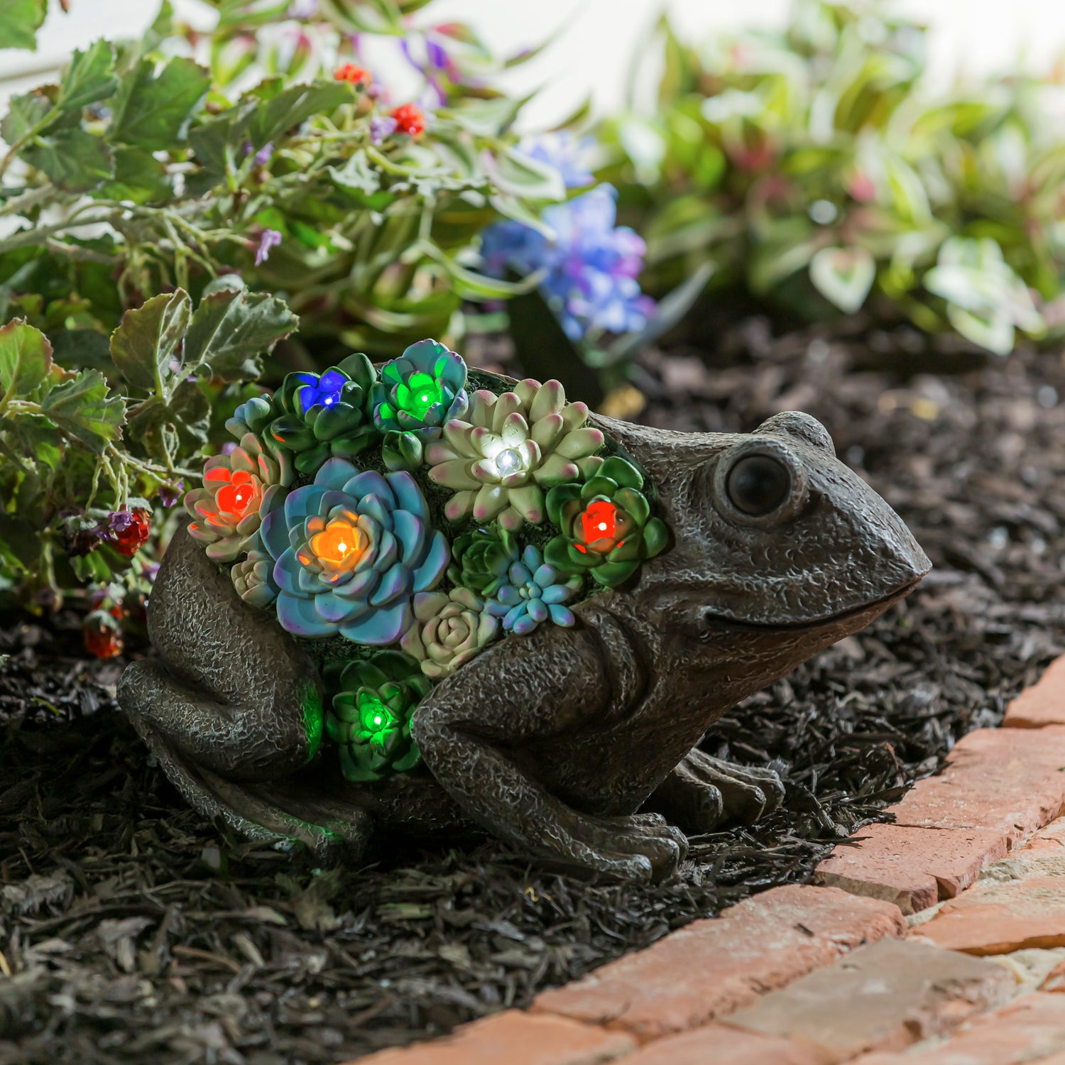 Solar Resin Succulent Frog