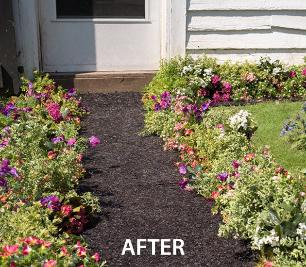 After Permanent Mulch
