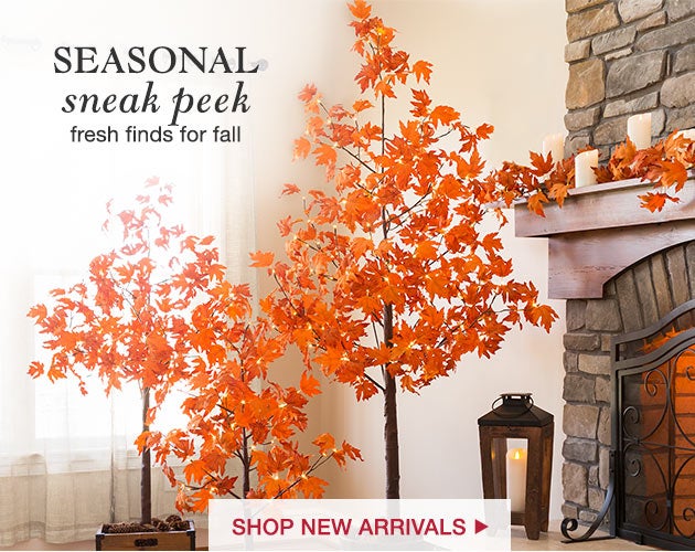 Seasonal sneak peek - Fresh finds for Fall. Shop New Arrivals