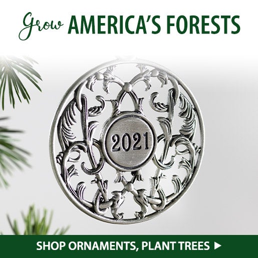 Image of a 2021 pewter ornament. GROW America's Forests! Shop Ornaments, Plant Trees.